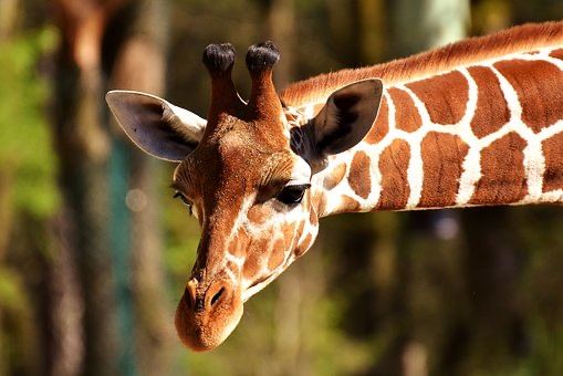 Fathala, Noord-Senegal