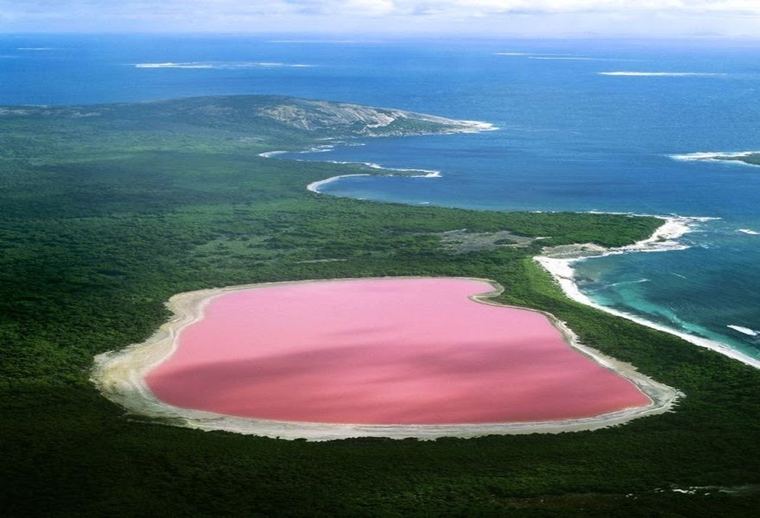 Het roze meer